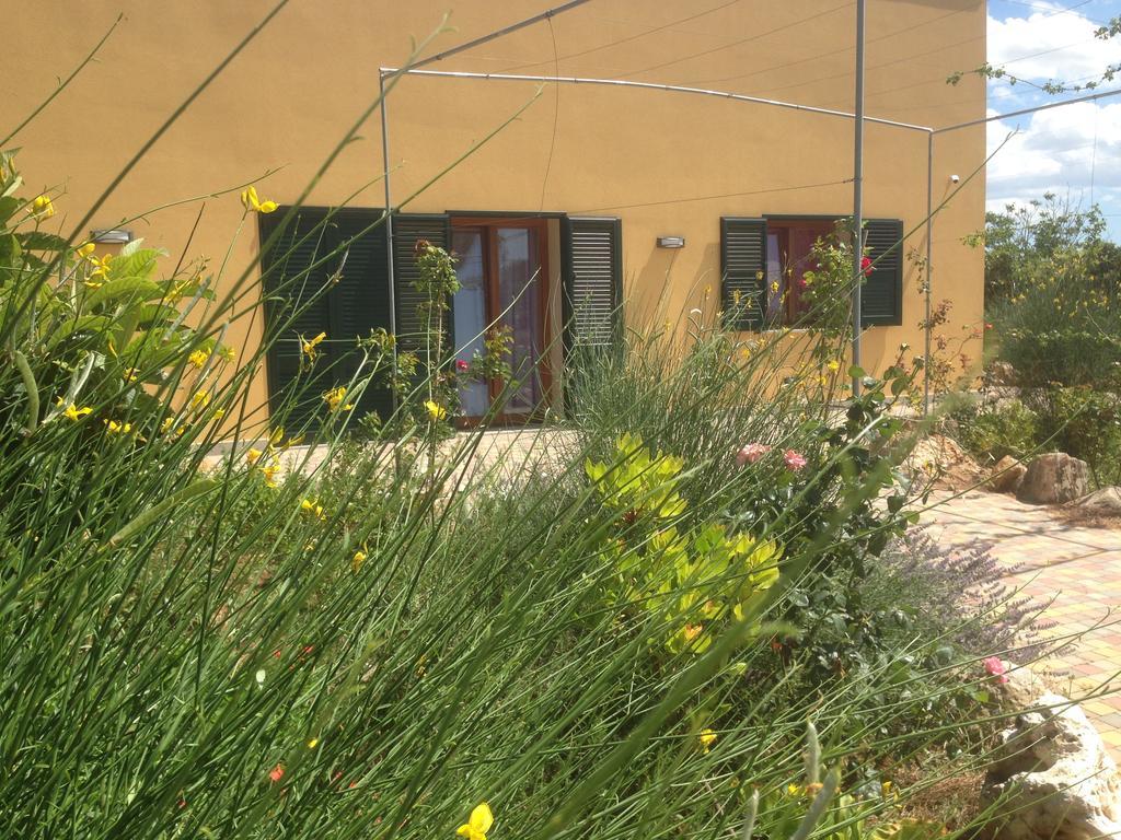 Mele Copertino