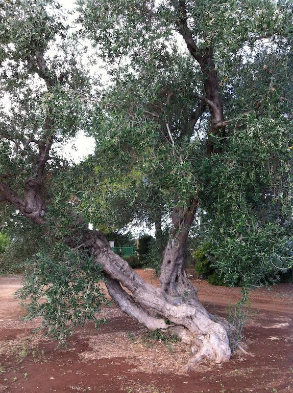 Agriturismo Mele