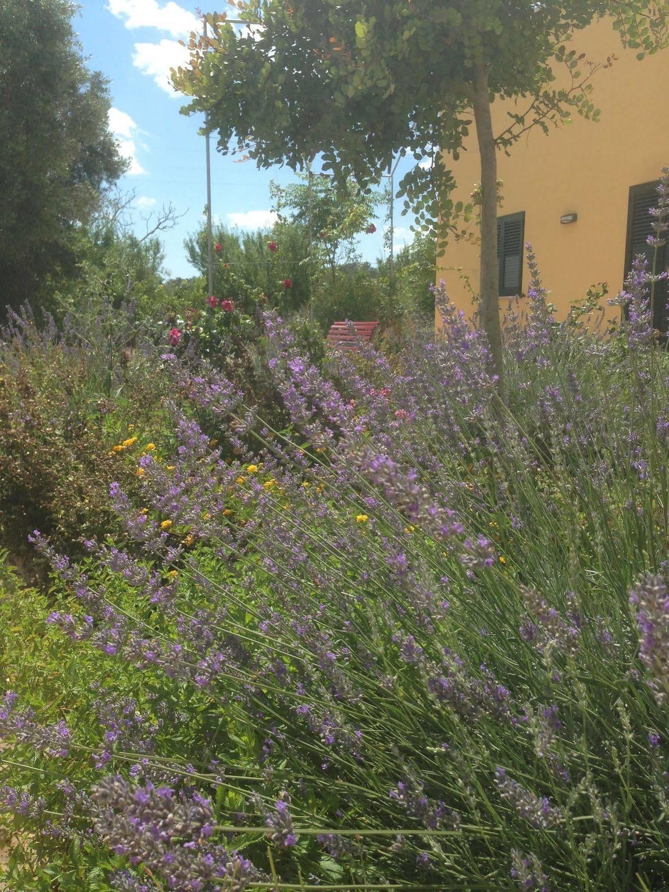 Agriturismo Mele *